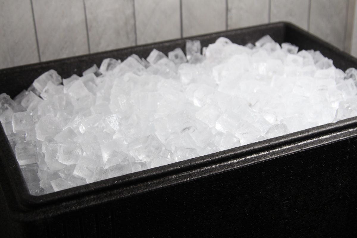 Bac isotherme Boxer 40L